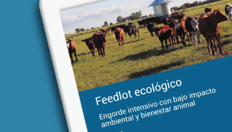 Salud del rodeo: el eje del nuevo manual sobre Feedlot Ecológico