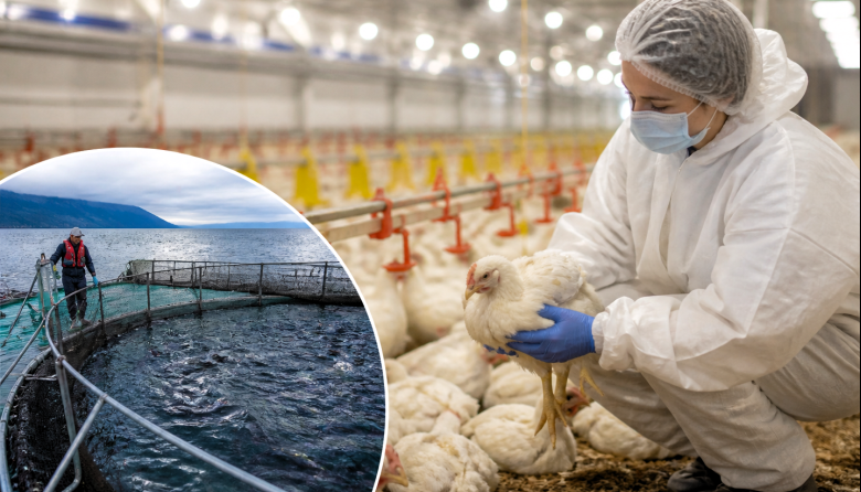 Científicos de Argentina y Chile buscan frenar virus que impactan en la producción animal