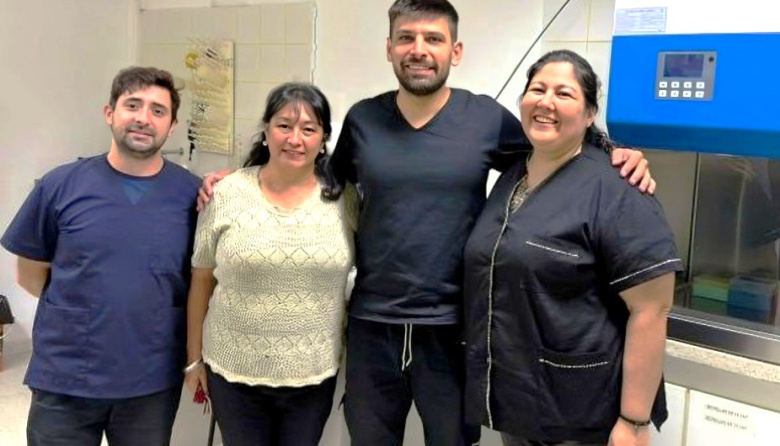 Con embriones de pollo buscan establecer un protocolo preciso para probar fármacos oncológicos