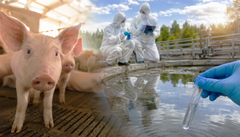 Hepatitis E y Hantavirus: los datos del BEN que encienden alarmas veterinarias