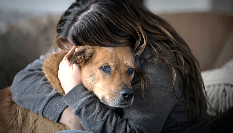 Violencia vicaria: los animales también necesitan protección judicial