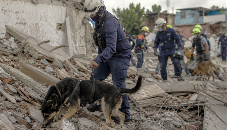 Veterinarios argentinos brindan apoyo técnico tras el sismo en Venezuela