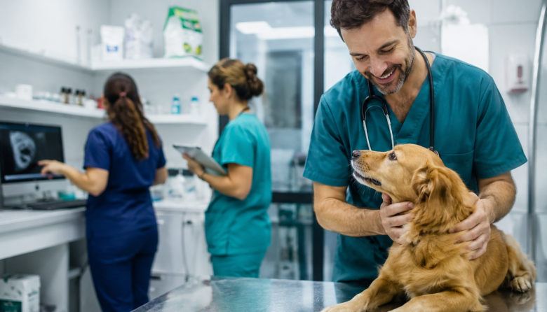 ¿Cuándo una clínica veterinaria deja de ser un emprendimiento y se convierte en una empresa?