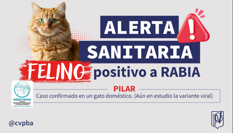 Confirman un caso de rabia en un gato doméstico en Pilar
