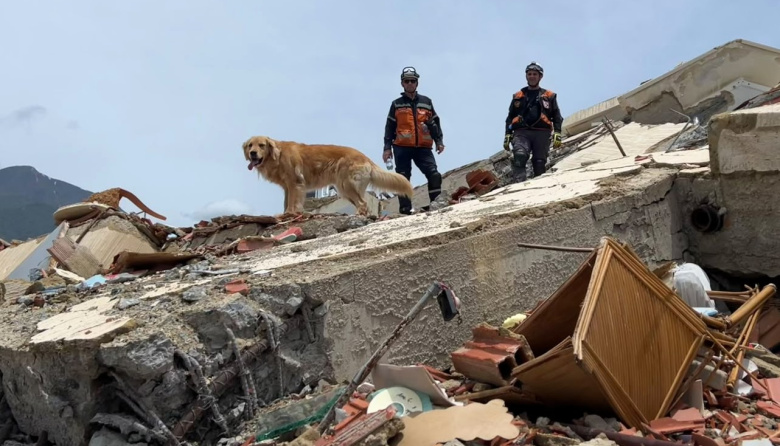 Perros de rescate: el exitoso trabajo de ACECC en Venezuela
