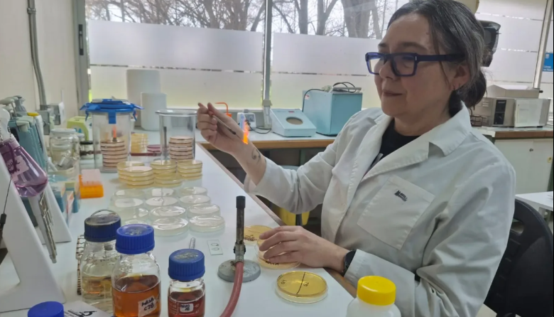 Buscan desarrollar un probiótico para combatir bacterias resistentes en perros y gatos