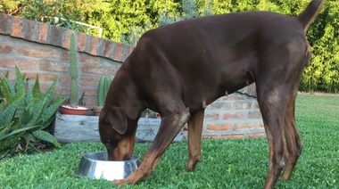 Un combustible necesario para la vida