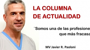 El 80% de las Veterinarias no llega a los 10 años de vida