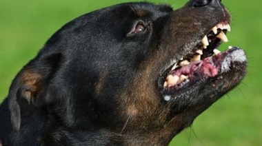 ¿Qué son los Eventos de Notificación Obligatoria?