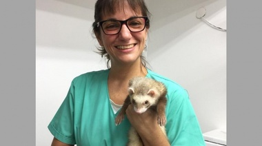 El Rol del Veterinario en la Salud y Conservación de Animales Silvestres