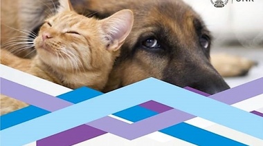 Nueva Carrera de Posgrado