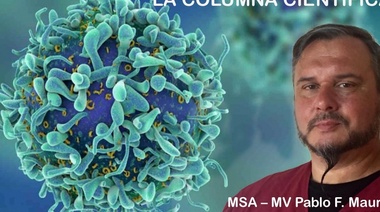 Memoria Inmune… ¿qué recuerdan?