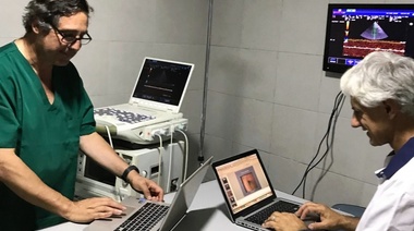 Telemedicina en Veterinaria