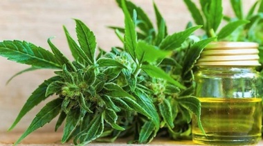 Cannabis medicinal para todo y todas