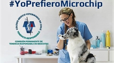 Declaración COLMEVET