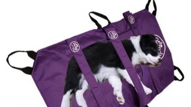 PER-ROS SALUD: Nueva Camilla Portátil de Traslado de Mascotas