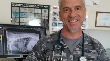 Porqué los veterinarios tenemos “miedos” o “dudas” para poner pacientes sanos en la camilla?