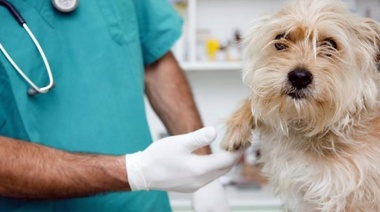 La situación en España y en Argentina son parecidas…pero no tanto!