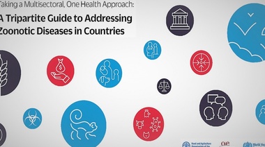Adoptar el enfoque multisectorial ‘Una sola salud’