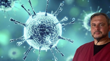 ¿Inmunidad, para dónde va la respuesta inmune? ¿Cómo se modula? ¿Por qué? ¿Para qué?