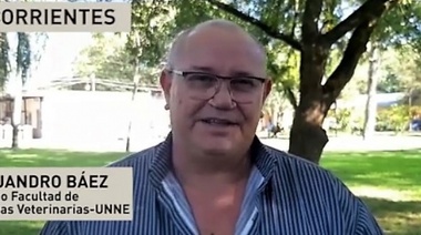 Trabajo en conjunto para realizar actividades docentes