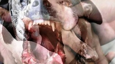 Es la víctima número 83 en los últimos 12 años