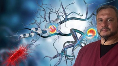 Inmunidad - Parte 2: Perfiles Supresores