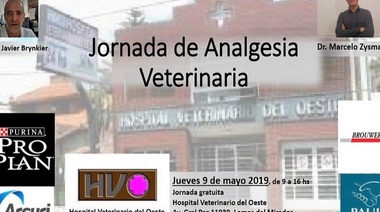 Jornada de Analgesia