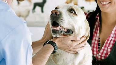 Es necesario crear una conexión emocional con el cliente