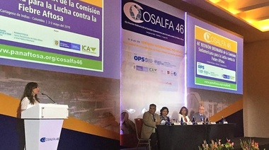 Se realizó la 46° Reunión Ordinaria de la Comisión Sudamericana para la Lucha contra la Fiebre Aftosa