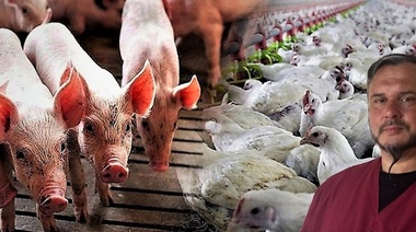 Gripe… una pesadilla de ayer, hoy y siempre…