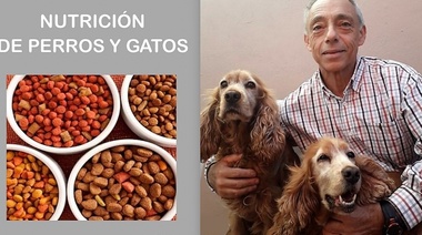 ¿Pondrías en juego la salud de tu mascota al darle de comer?