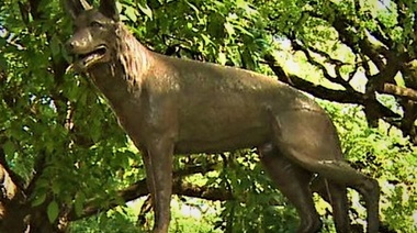 ¿Por qué se celebra el Día Nacional del Perro?