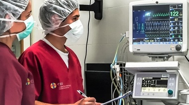 La mortalidad anestésica felina en Argentina es del 1,49%