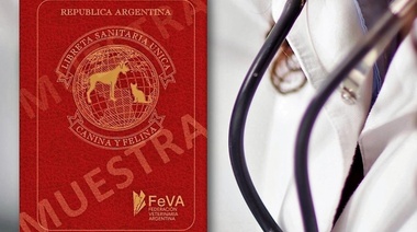 Perros y gatos tendrán su Libreta Única