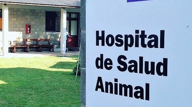Se inició oficialmente el Programa Nacional de Apoyo al Desarrollo de los Hospitales Veterinarios