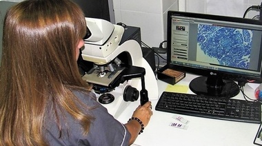 Buscan optimizar la clasificación de tumores mamarios en perras