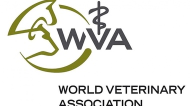 Presentan los Animal Welfare Awards 2020