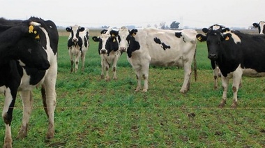 Se realizará la V Reunión Anual de la RELIM en Argentina