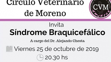 25 de Octubre. Síndrome Braquicefálico en Moreno