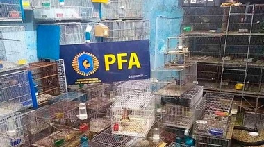 Desarticularon en varias provincias una banda dedicada al tráfico de animales: 26 personas fueron detenidas