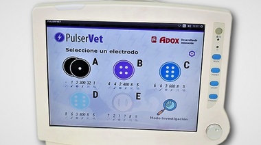 Premian un proyecto de un equipamiento oncológico veterinario