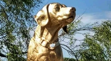 Rubio, el perro brutalmente asesinado en Mar del Tuyu, tiene su estatua