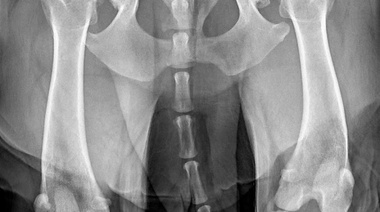 Desarrollan una nueva técnica para el estudio de las articulaciones