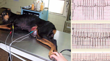 Está abierta la inscripción a los cursos virtuales