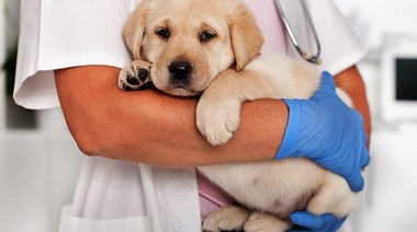 ¿De qué hablamos cuándo hablamos de prevención?