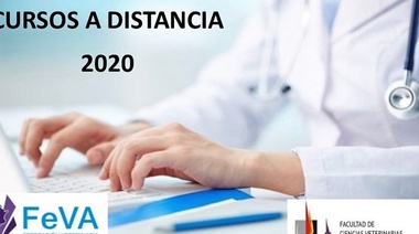 Comienzan los cursos a distancia para graduados 2020