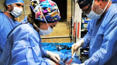 Video de canino con tumor en base de corazón