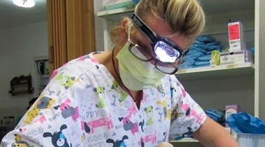 Las mujeres son amplia mayoría en la profesión veterinaria