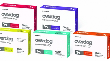 Over presenta OVERDOG COMPRIMIDOS